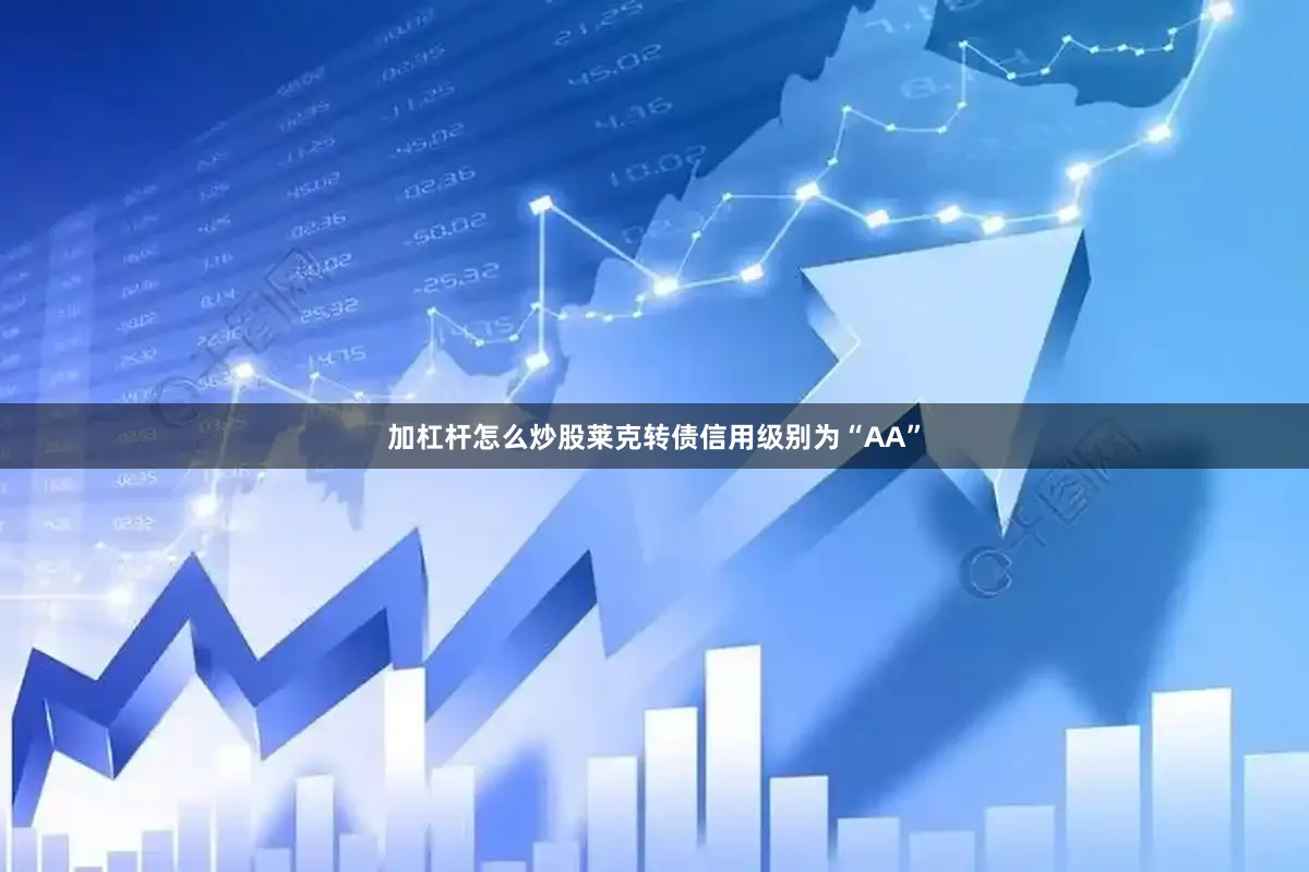 加杠杆怎么炒股莱克转债信用级别为“AA”