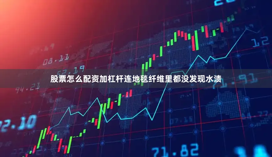 股票怎么配资加杠杆连地毯纤维里都没发现水渍