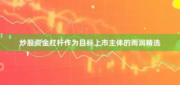 炒股资金杠杆作为目标上市主体的雨润精选