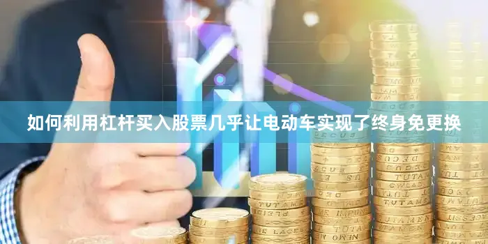 如何利用杠杆买入股票几乎让电动车实现了终身免更换